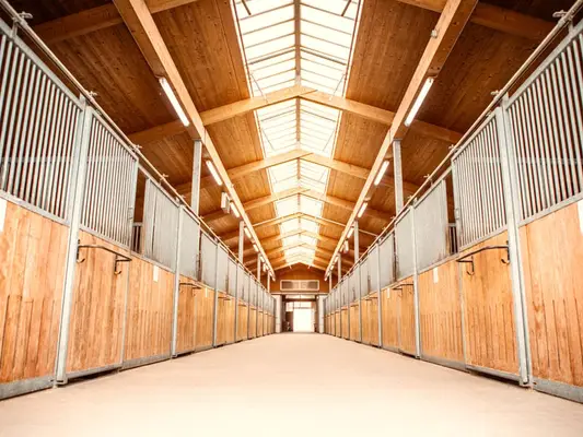 Reitsportanlage für den großen Sport in Franken V14177 – provisionsfrei
