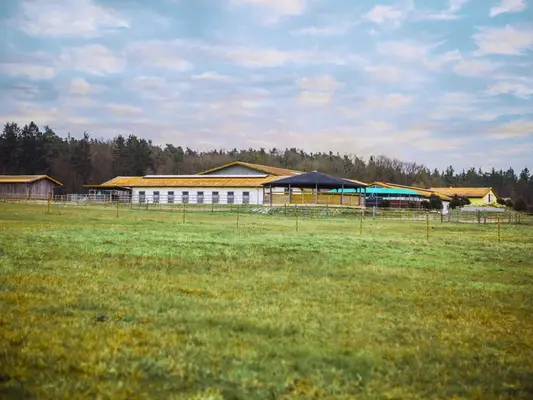 Reitsportanlage für den großen Sport in Franken V14177 – provisionsfrei