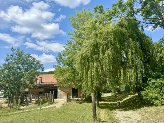 Historisches Hofgut mit Landwirtschaft auf 40 ha arrondierter Fläche & Pferdehaltung, nahe Bodenseeu