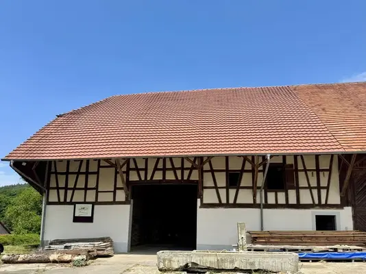 Historisches Hofgut mit Landwirtschaft auf 40 ha arrondierter Fläche & Pferdehaltung, nahe Bodenseeu