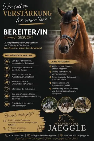 Wir suchen zur Verstärkung unseres Teams