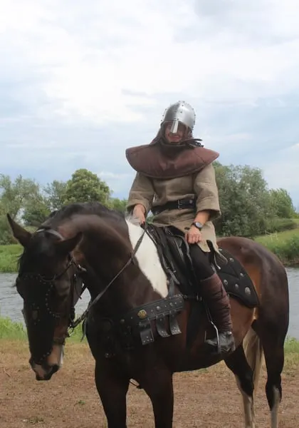 Easy nice horse for land/jumping/eventing