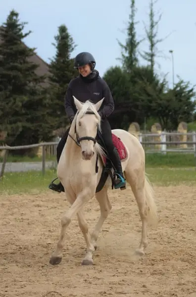 Lusitano Cracker for Working Equitation/ Dressage/ High Riding S