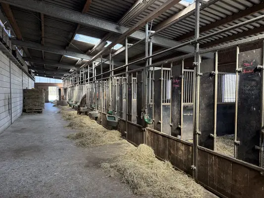 Reitanlage mit Reithalle für ambitionierte Reiter & Leben mit Pferden. Bis zu 60 Pferden.