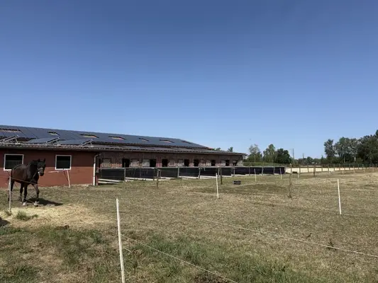 Reitanlage mit Reithalle für ambitionierte Reiter & Leben mit Pferden. Bis zu 60 Pferden.