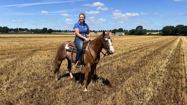Quarter Horse Wallach zum Spass haben für Freizeit mit Handycap