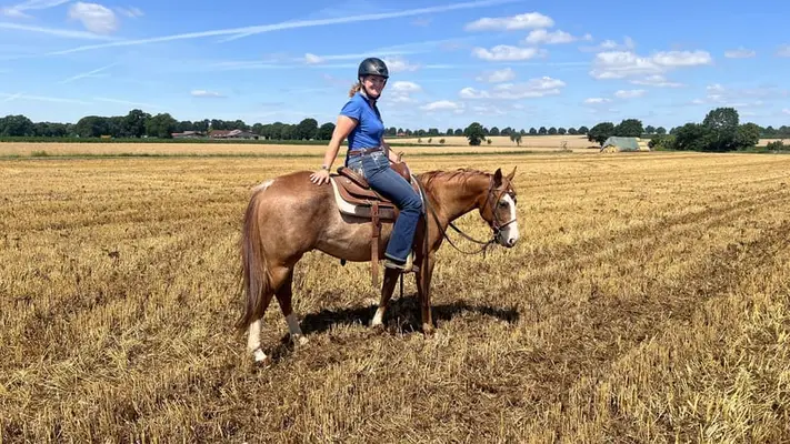 Quarter Horse Wallach zum Spass haben für Freizeit mit Handycap