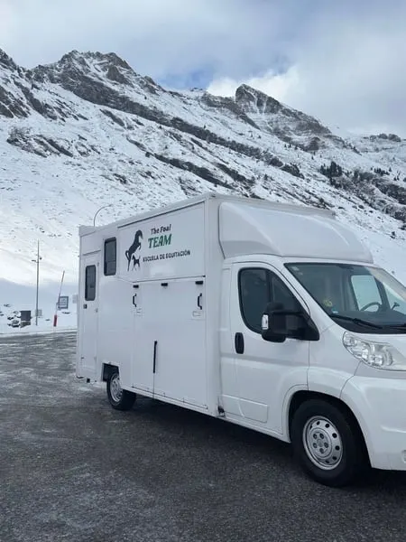 Transporter für 2 Pferde
