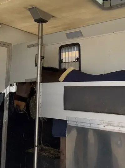 Transporter für 2 Pferde