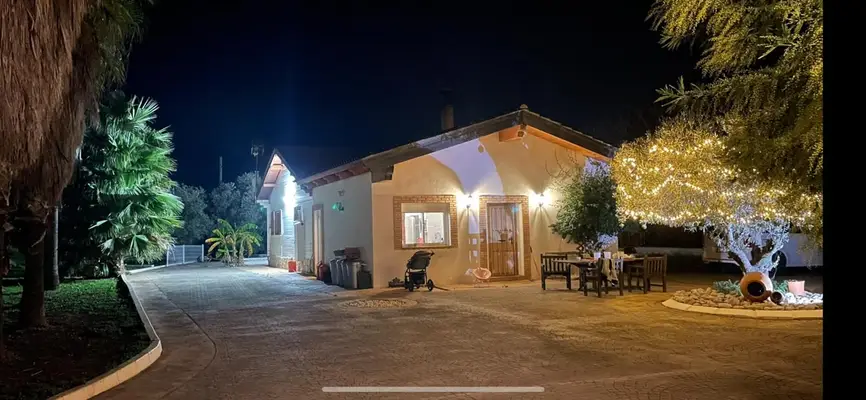 Rehabilitation Center in Valencia for 35 Horses