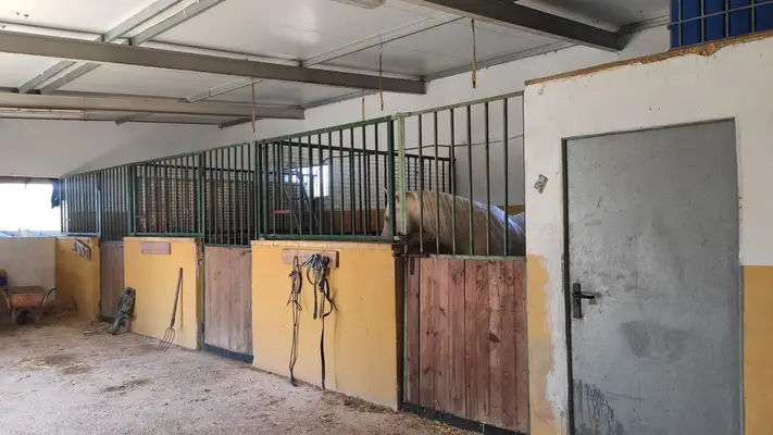 Rehabilitationszentrum in Valencia für 35 Pferde