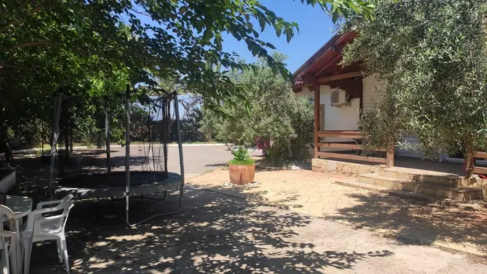 Rehabilitationszentrum in Valencia für 35 Pferde
