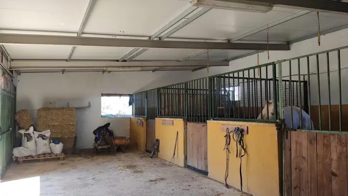 Rehabilitation Center in Valencia for 35 Horses