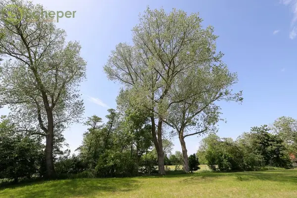 Modernisierter Resthof in Belum-Kehdingbruch mit Grünland und optional 28 ha Ackerland