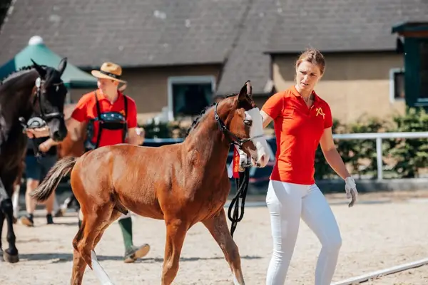Hoffnungsträger für den großen Parcours