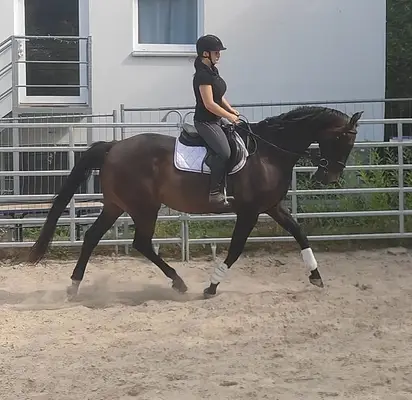 Toller, schicker Lehrmeister
