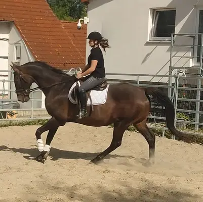 Toller, schicker Lehrmeister