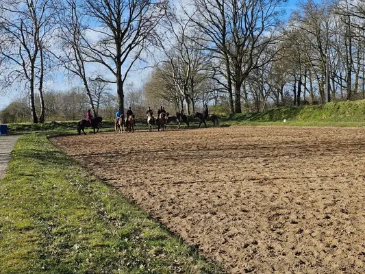 Pensionsplatz auf Islandpferdehof frei.