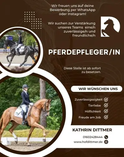 Wir suchen für unseren Familienbetrieb einen Pferdepfleger/in