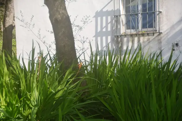 Wunderschöne Finca inmitten herrlicher Natur