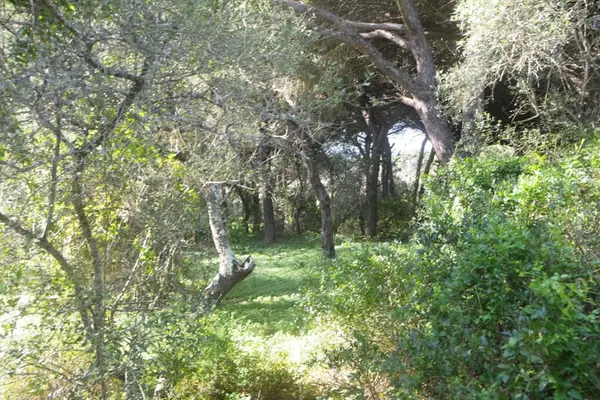 Wunderschöne Finca inmitten herrlicher Natur