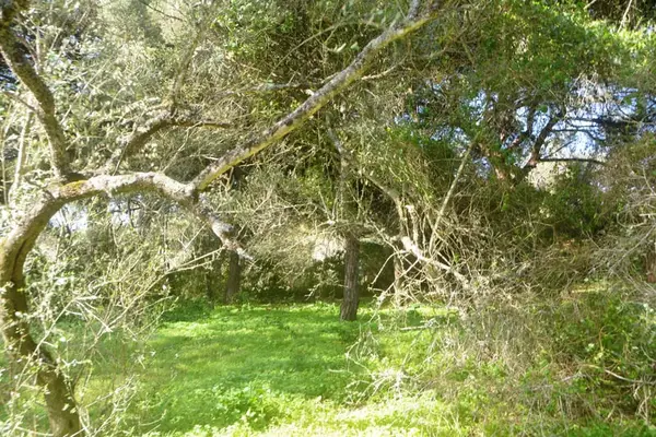 Wunderschöne Finca inmitten herrlicher Natur