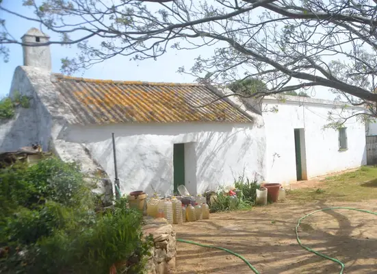 Schöne Finca mit besonderem Charme