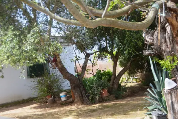 Schöne Finca mit besonderem Charme