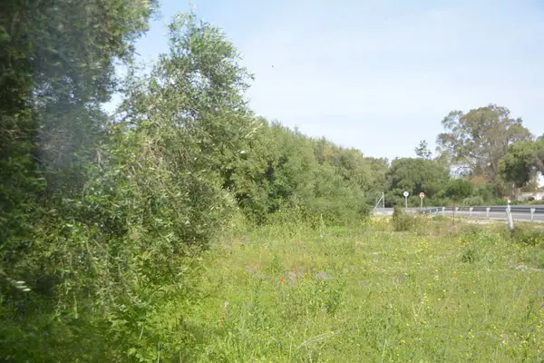 Schöne Finca mit besonderem Charme
