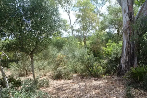 Schöne Finca, Haus ist renoviert, Pferdehaltun