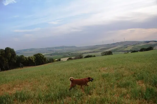 Aussicht, Aussicht, Aussicht.