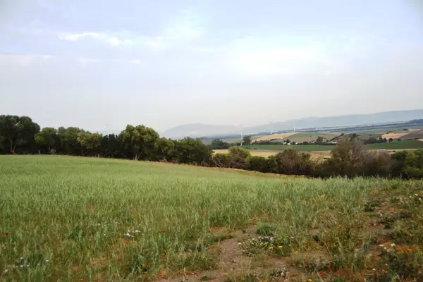 Aussicht, Aussicht, Aussicht.