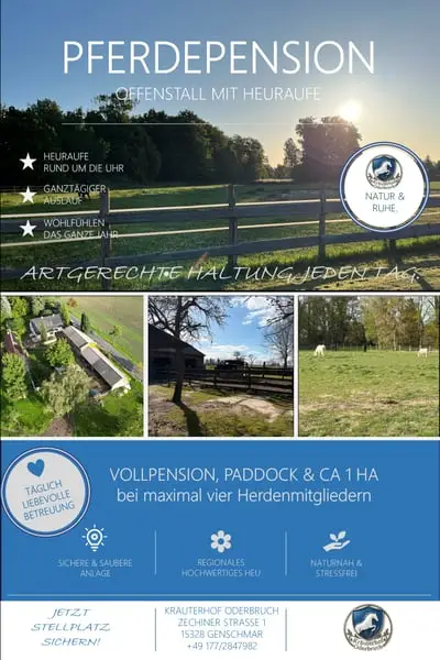 Offenstall // Pferdepension // Vollpension