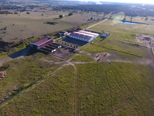 Wunderschare Farm für Pferde, vollständig ausgestattet
