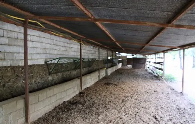 Schöne Finca mit Herrenhaus in Salamanca – 200 Hektar
