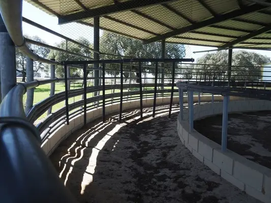 Voll ausgestattete Pferdefinca – 24 ha – Cáceres