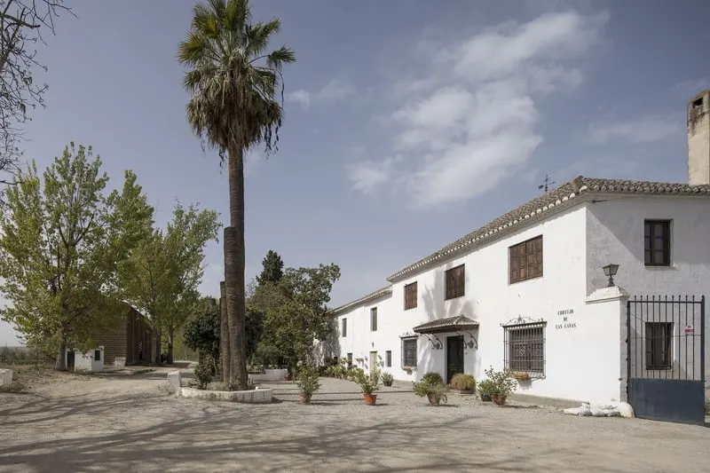 Rustic Property Ideal For Stud Farm For Sale.