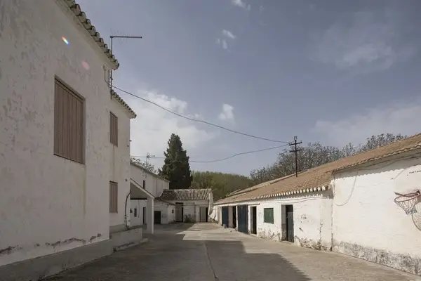 Rustic Property Ideal For Stud Farm For Sale.