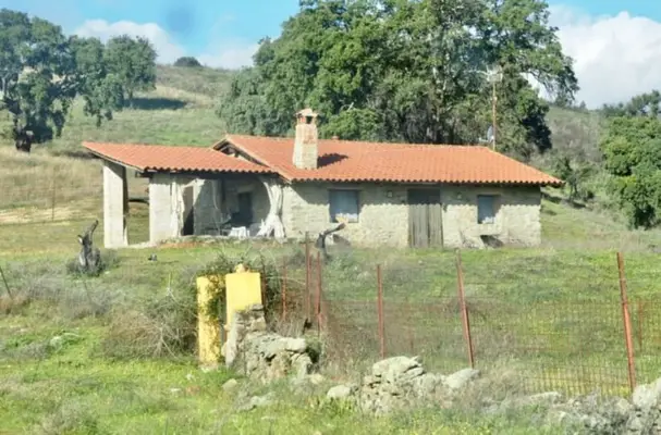 Hervorragender Jagd- und Rinderhof.