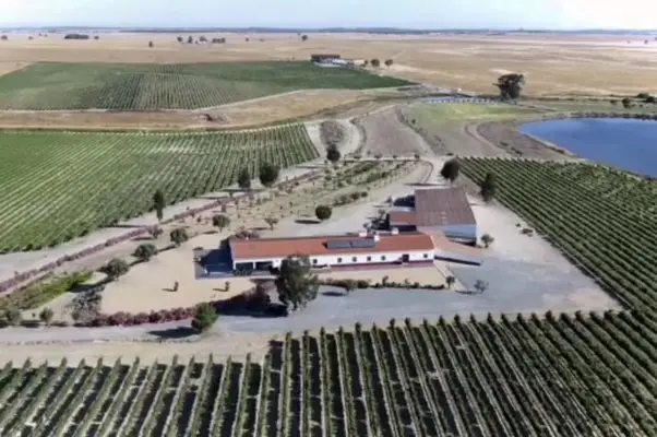 Wunderschliches Anwesen mit Weinbergen und Unterkünften für den Weintourismus.