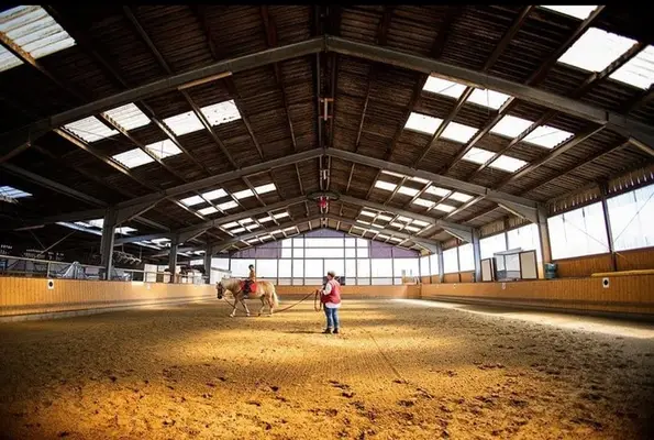 Box para caballo en alquiler