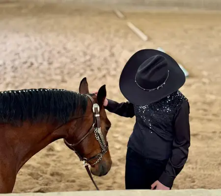 Bildhübsche Quarter Horse Stute mit Talent und Perspektive