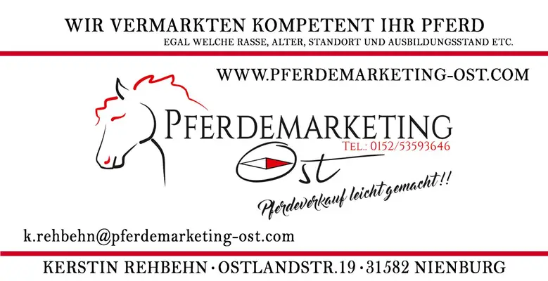 Pferdeverkauf leicht gemacht!!