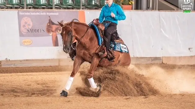 Toller Reining QH Wallach mit super Mind und viel Talent