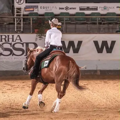 Toller Reining QH Wallach mit super Mind und viel Talent