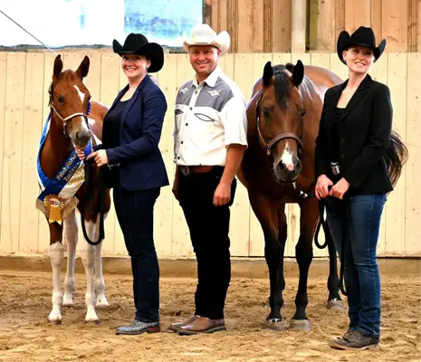 Fohlenschausiegerin & Champion Paint Horse Stute mit Top-Abs