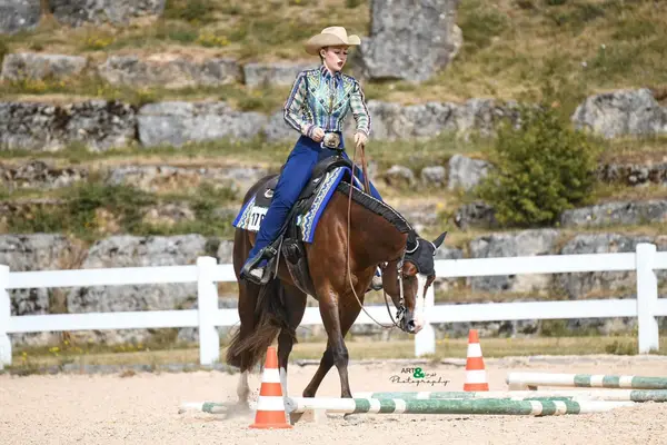 Splendida Quarter Horse Mare dal carattere eccezionalmente dolce
