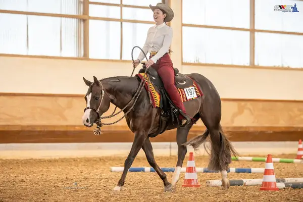 Splendida Quarter Horse Mare dal carattere eccezionalmente dolce