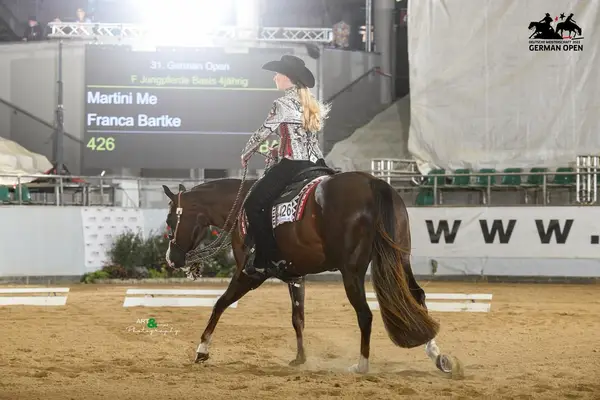 Bildschöne Quarter Horse Stute mit außergewöhnlich liebem Ch