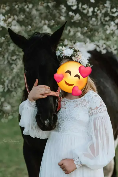 Liebe, bildhübsche Paint Horse Stute